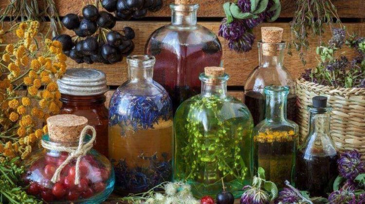 Bottles of tincture | How To Make Herbal Tinctures | Featured