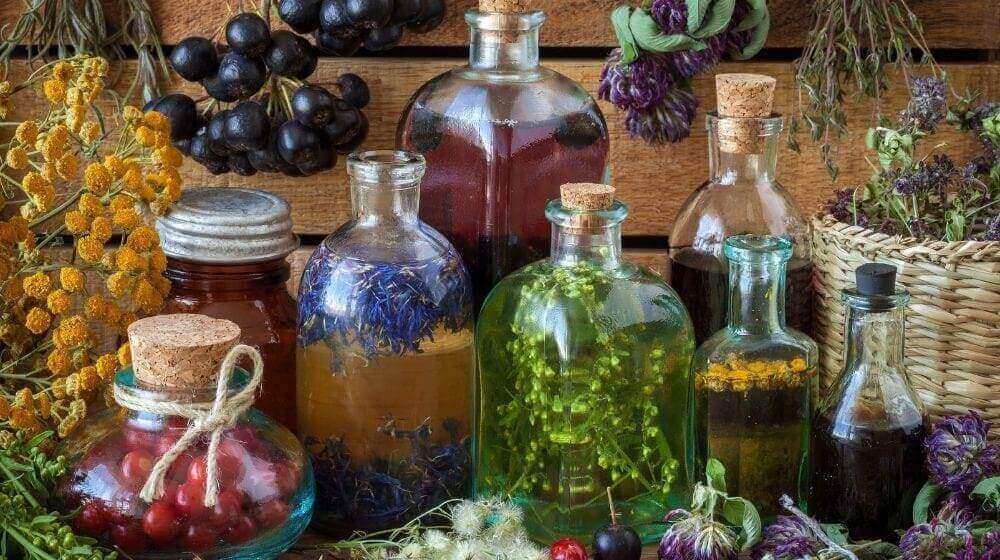 How To Make Herbal Tinctures | Homesteading