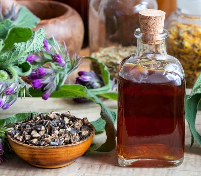 Comfrey tincture with fresh symphytum | herbal tincture recipes