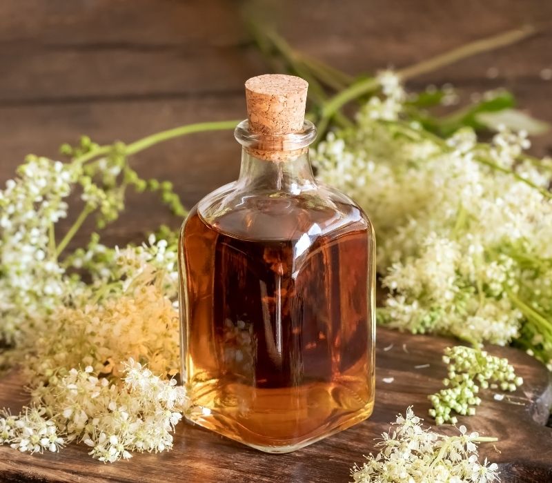 Meadowsweet tincture with fresh blooming plant | best alcohol for tinctures