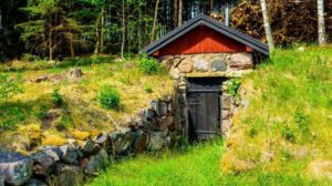 Root cellar close to the forest | How to build a root cellar | Featured