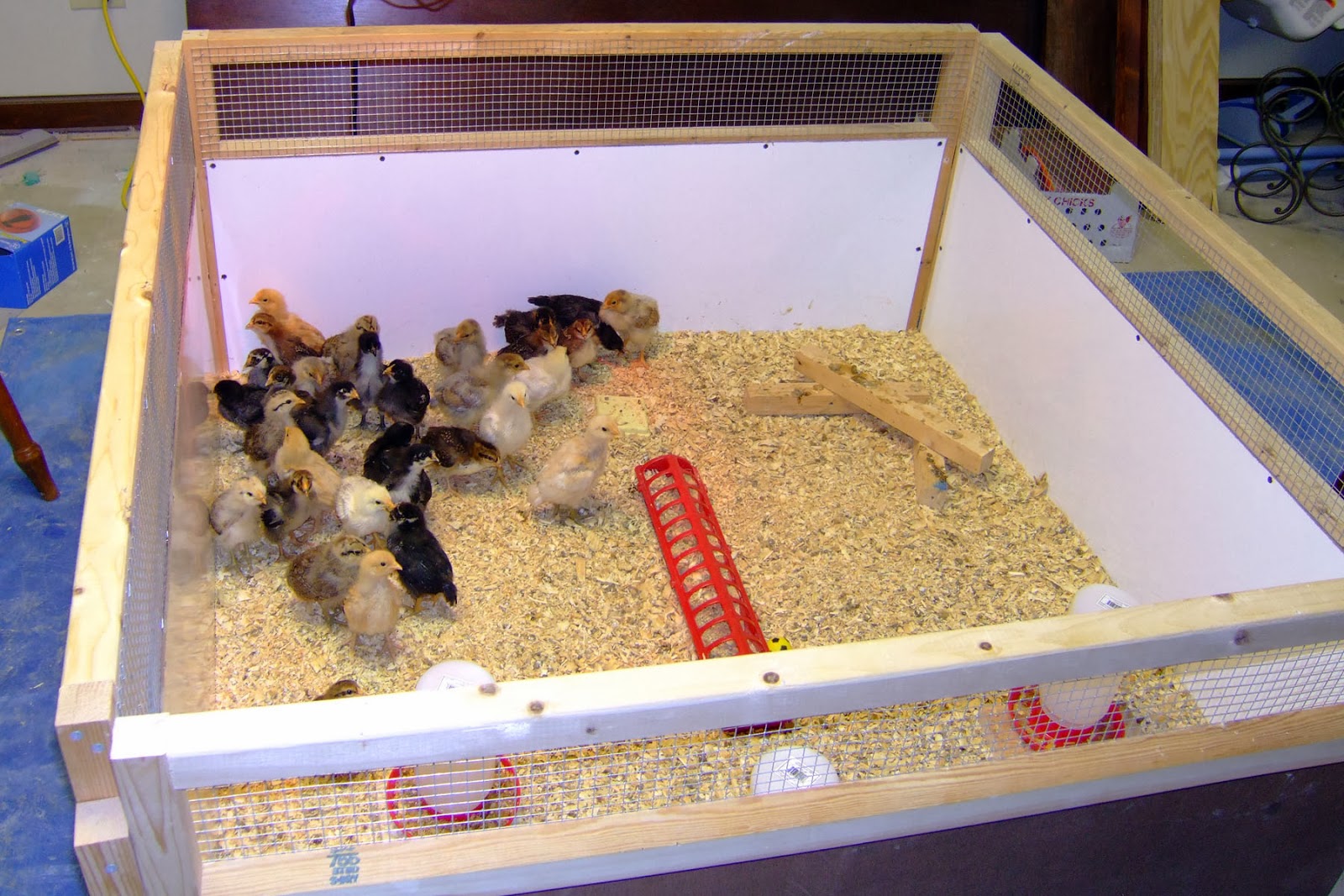 Step 3: Set It Up Above The Level Of The Sand Or Block | Setting Up A Chicken Brooder Step 3: Set It Up Above The Level Of The Sand Or Block | Setting Up A Chicken Brooder