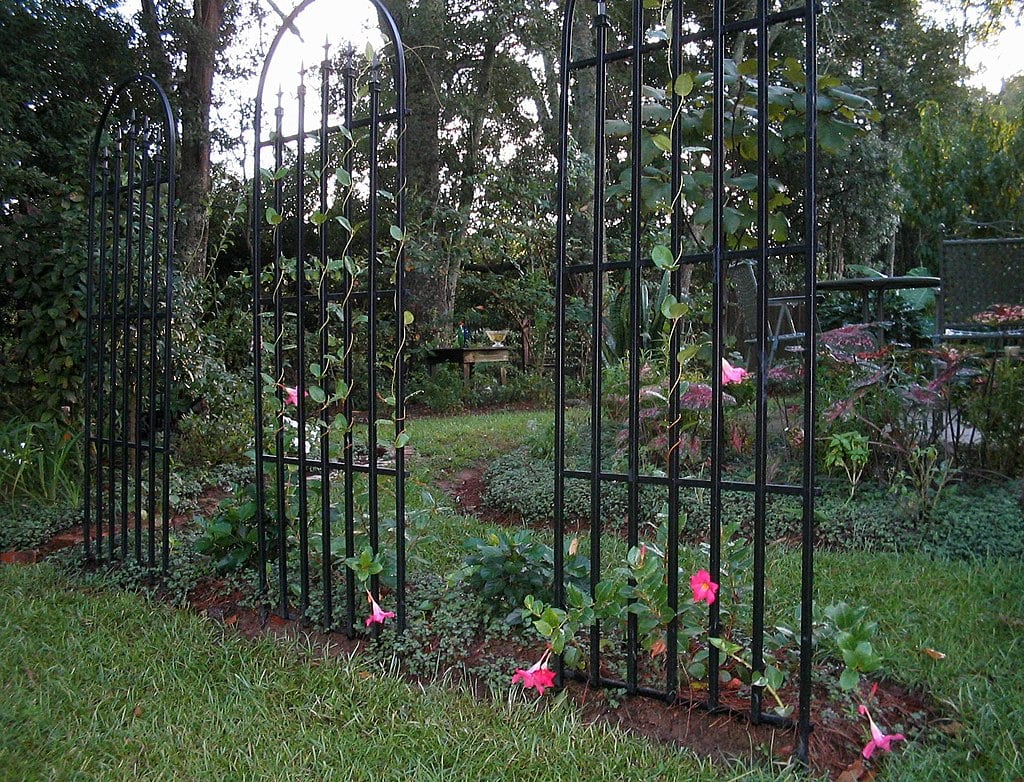 Repairing Fences, Gates, and Trellis | Preparing Your Spring Garden Now | It’s Never Too Early! Repairing Fences, Gates, and Trellis | Preparing Your Spring Garden Now | It’s Never Too Early!
