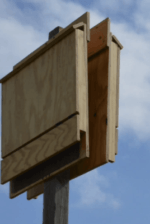 How to Build A Bat House Bat House Plans For Your Homestead
