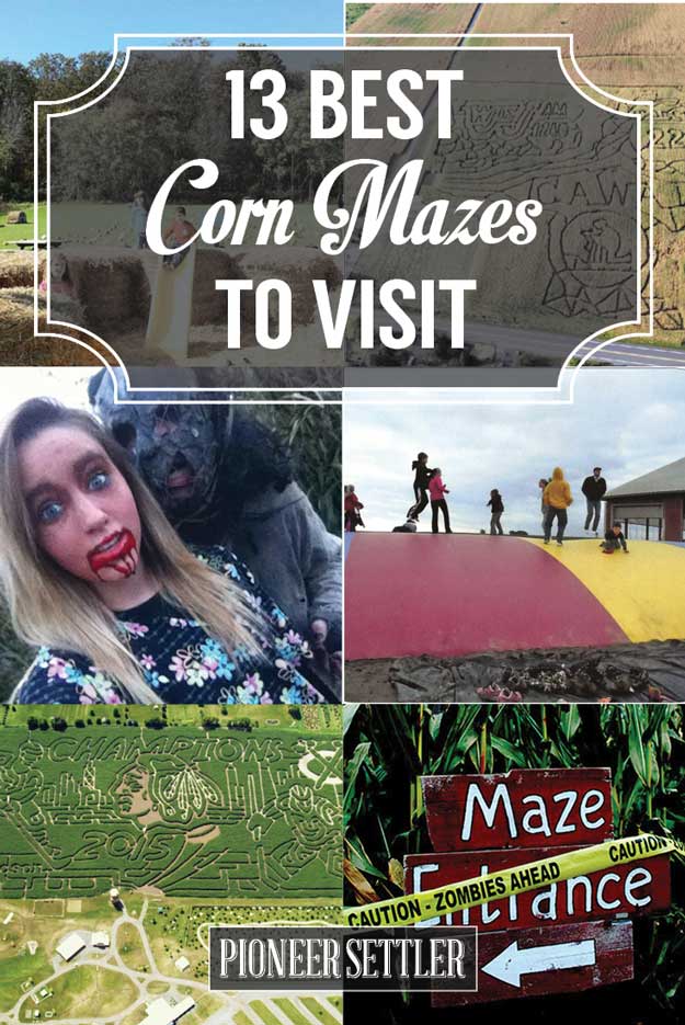 13 of the Best Corn Mazes to Visit Across The U.S.