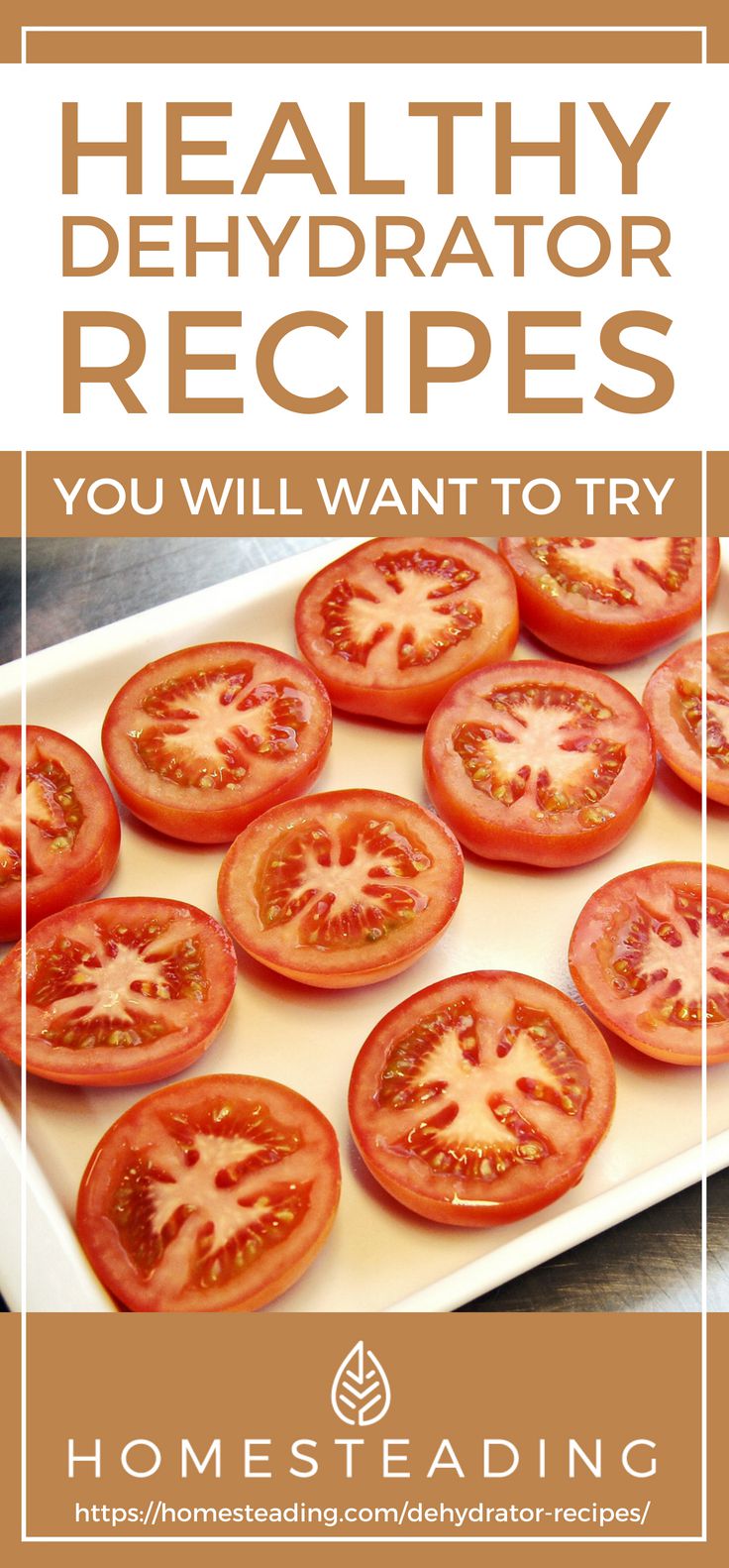 Placard | 15 Tasty Dehydrator Recipes For Healthy Snacks That Last!