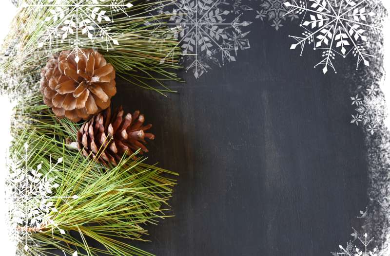 Pine Cone Ornament | Stunning Homemade Christmas Ornaments You Can DIY On A Budget