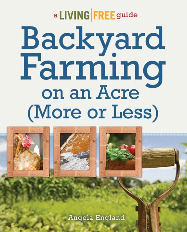 Backyard Farming on an Acre | 23 Best Homesteading Websites and Blogs