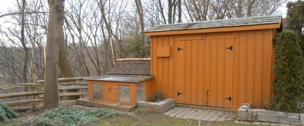 City Boy Hens | 23 Best Homesteading Websites and Blogs