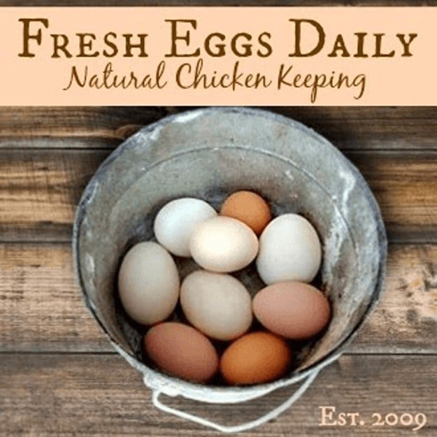 Fresh Eggs Daily | 23 Best Homesteading Websites and Blogs