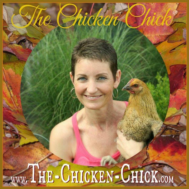 The Chicken Chick | 23 Best Homesteading Websites and Blogs