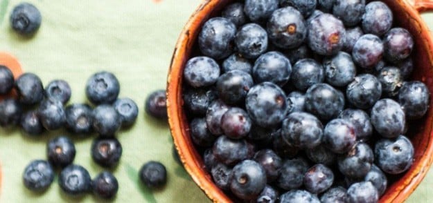 This Organic Life | 23 Best Homesteading Websites and Blogs