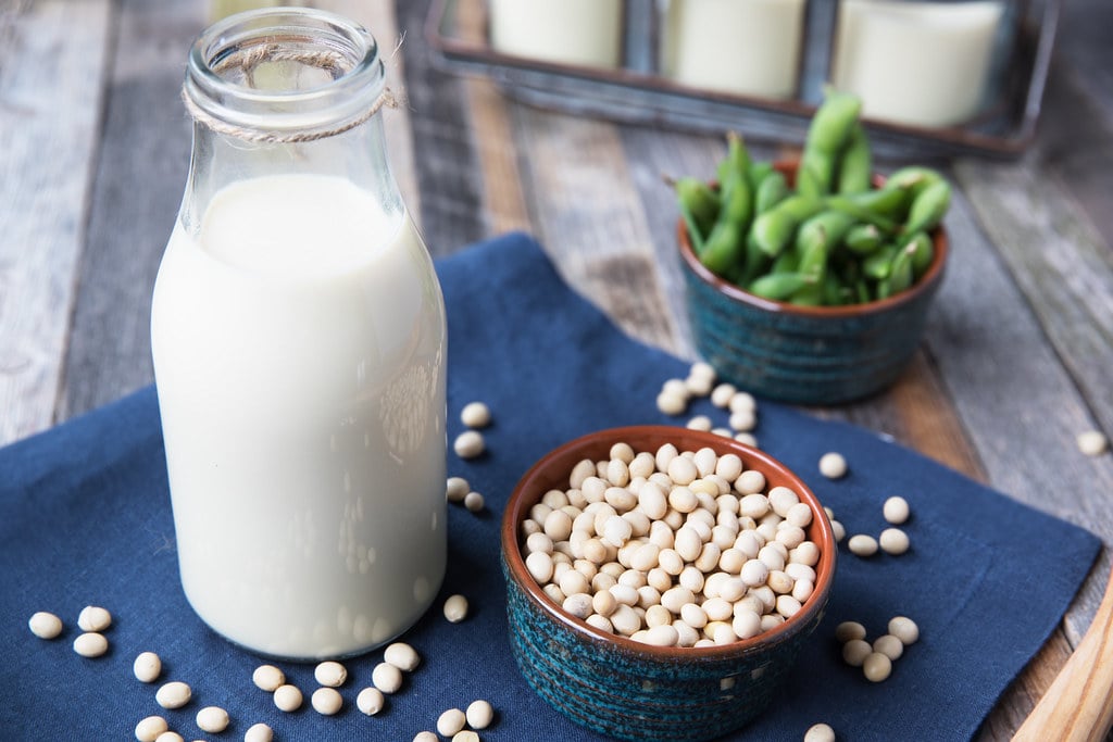 Soy Milk | How To Mix Your Own Pig Feed And Save Money| pig feed formula