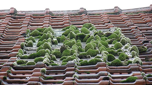 Small Zen Roof Garden | Roof Garden Transformation Ideas 