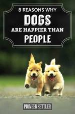 Reasons Why Dogs Are Happier Than People