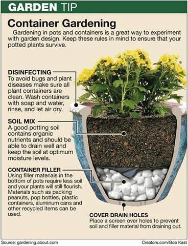 Container Gardening