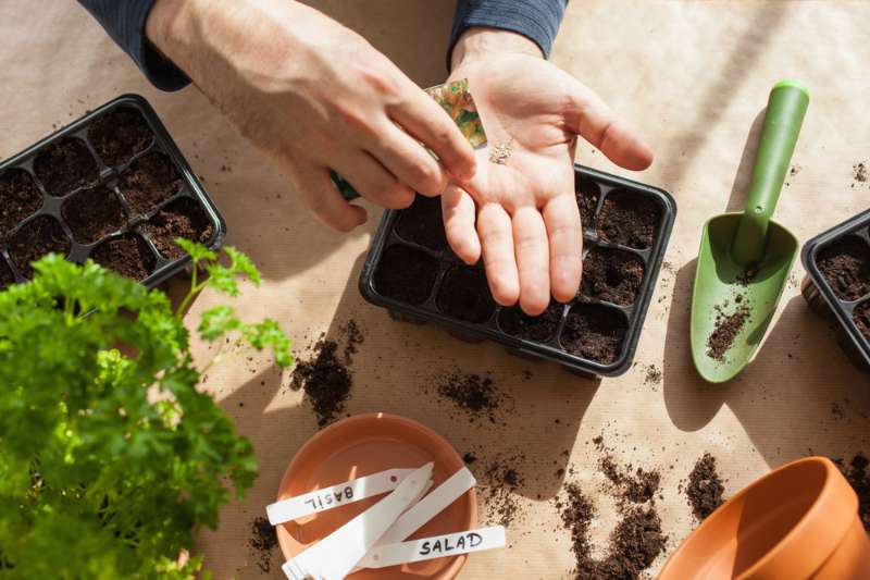 homesteading for beginners 2026