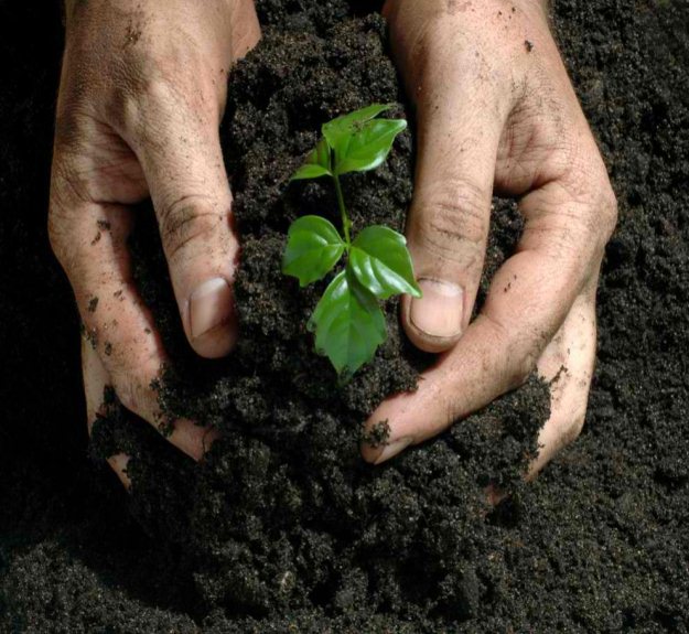 Benefits Of Composting | A Homesteader’s Guide to Composting | How To Compost Tutorial