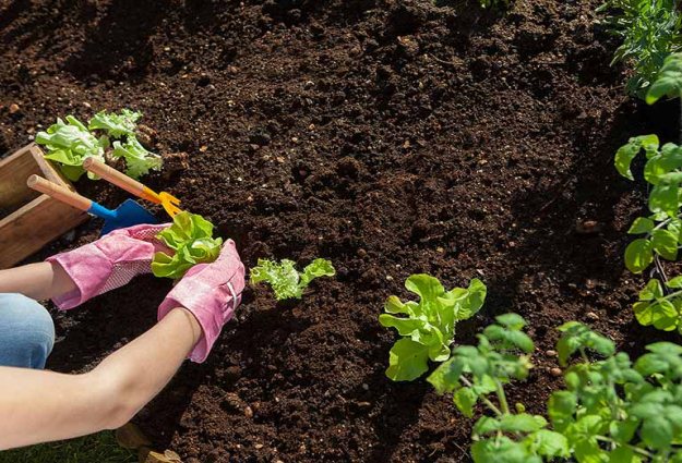 Soil Improvement | A Homesteader’s Guide to Composting | How To Compost Tutorial