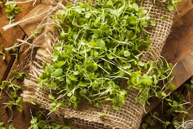 Microgreens