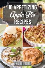 Apple Pie Recipes Apple Pie Recipes