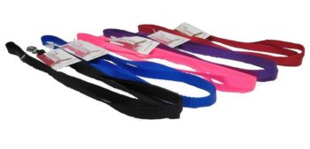 Attaching The Leash | Train A Chicken To Use A Harness | Homesteading Guide