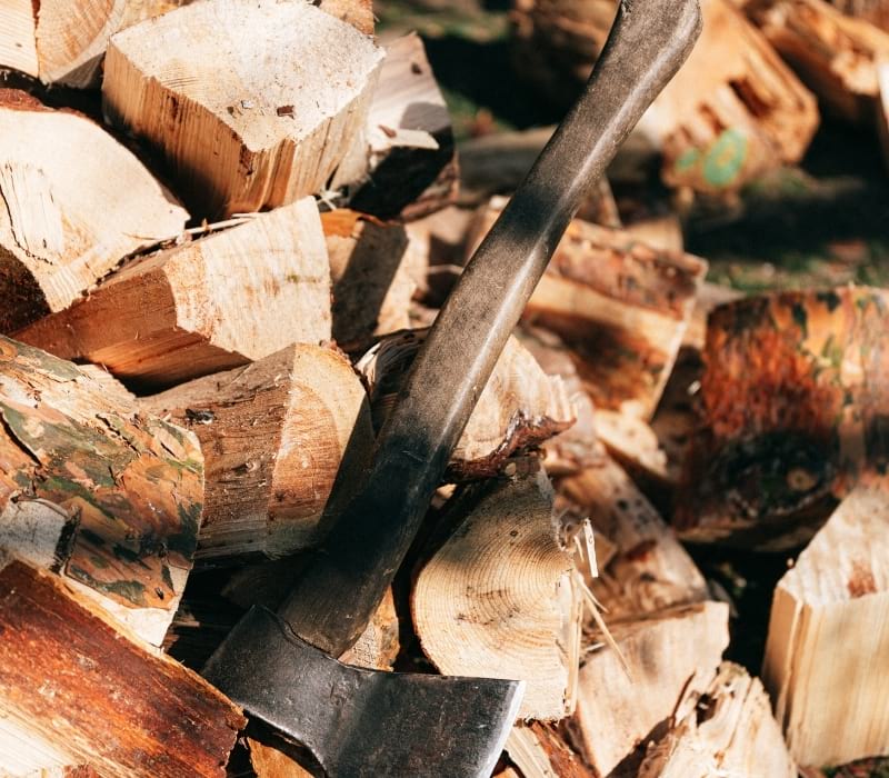 Axe placed on woods in forest | how to split wood with a wedge