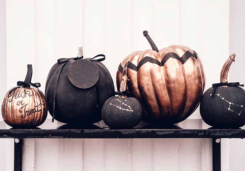 Black and rose cold colored pumpkins against white wall | thanksgiving decor