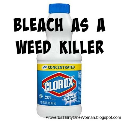 Bleach | Homemade Weed Killer To Stop Weeds In Their Tracks Bleach | Homemade Weed Killer To Stop Weeds In Their Tracks