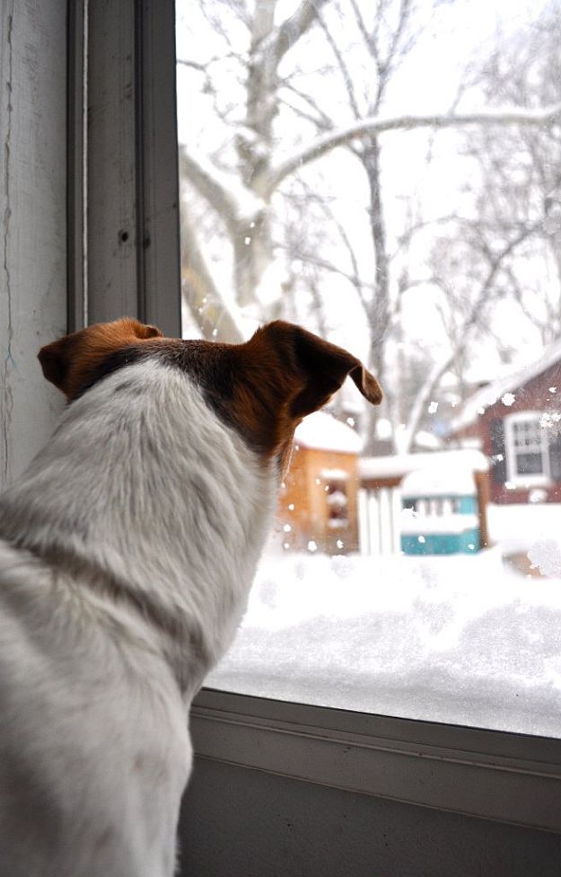 Lastly, Stay Indoors | Blizzard Survival Tips For A Safe Winter