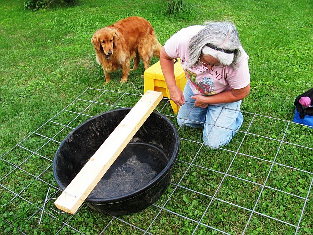 Brave | You Know You're A Farm Girl When (continued) 5 Homesteading Characteristics Every Tried & True Homesteader Has