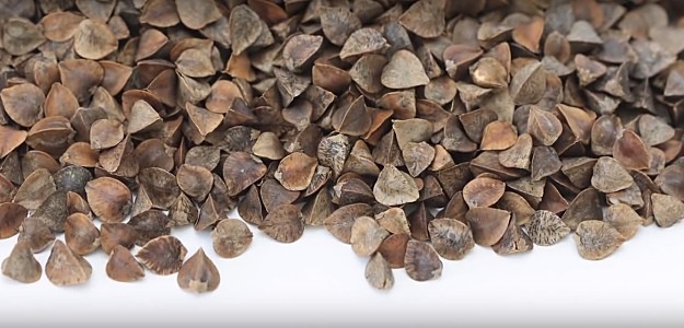 Do Your Research | Buckwheat Pillows 101: Why And How To Make Your Own