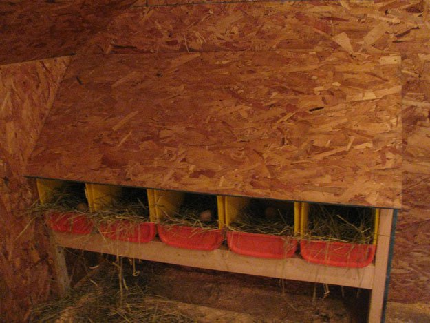Step 1: Assemble The Materials | Nesting Boxes Roof | Build Chicken Nesting Boxes From Recycled Scrap Materials Step 1: Assemble The Materials | Nesting Boxes Roof | Build Chicken Nesting Boxes From Recycled Scrap Materials