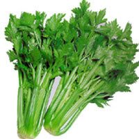 Celery | How To Blend Edible Landscaping With Ornamentals [Infographic]