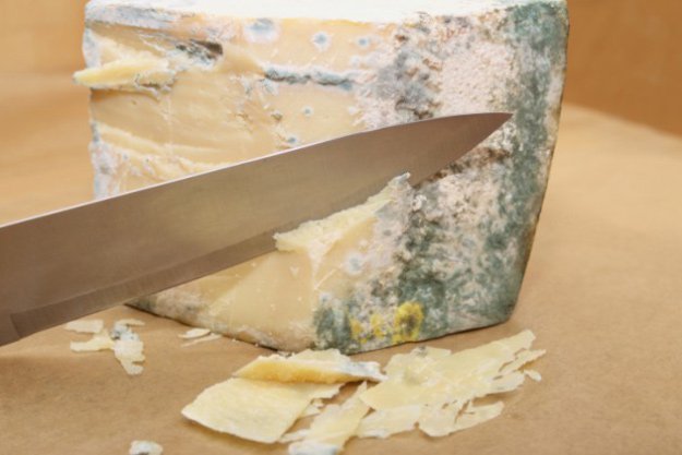 Removing Mold on Hard Cheese