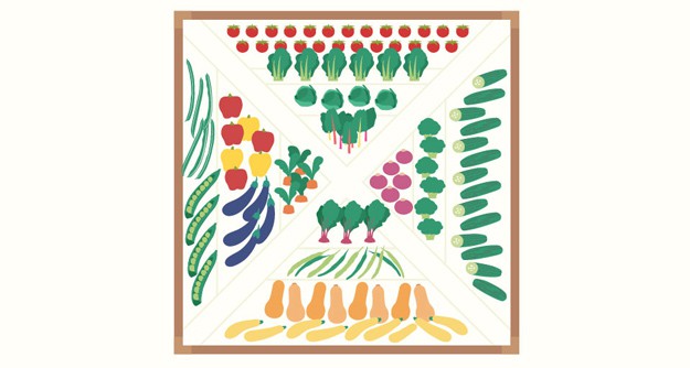  Garden Plot Layout