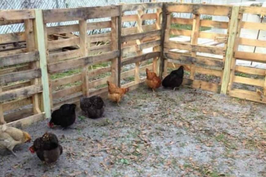 Pallet Chicken Run | Pallet Projects To Use Around The Homestead Pallet Chicken Run | Pallet Projects To Use Around The Homestead