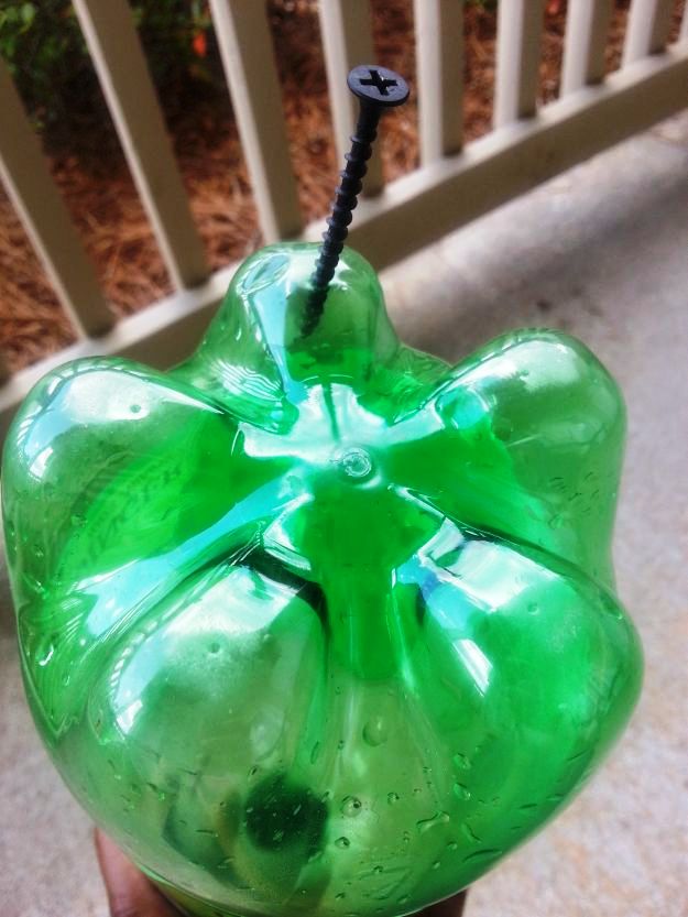 Step 1: Make Evenly Spaced Holes | DIY Bottle Planter From Recyclables 
