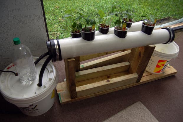 Small NFT Hydroponic System | Amazing Hydroponic Systems For Indoor Gardening