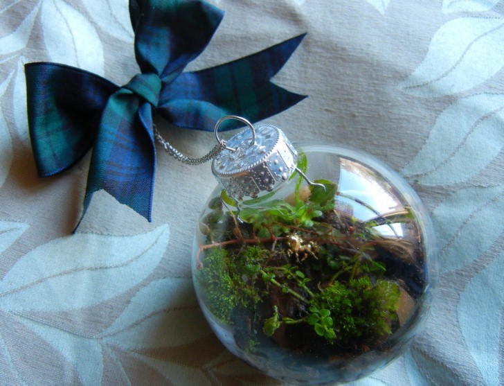 Christmas Ornament Terrarium | Terrarium Plants That You'll Love For Your Homestead