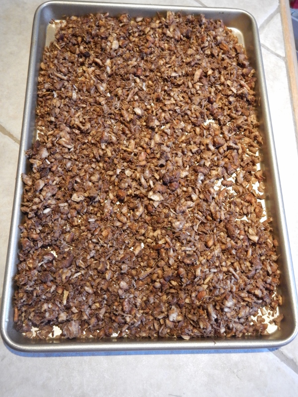 Dry up the Dandelion Roots for Tea | Best Dandelion Root Tea & Home Remedies at https://homesteading.com/best-dandelion-root-tea