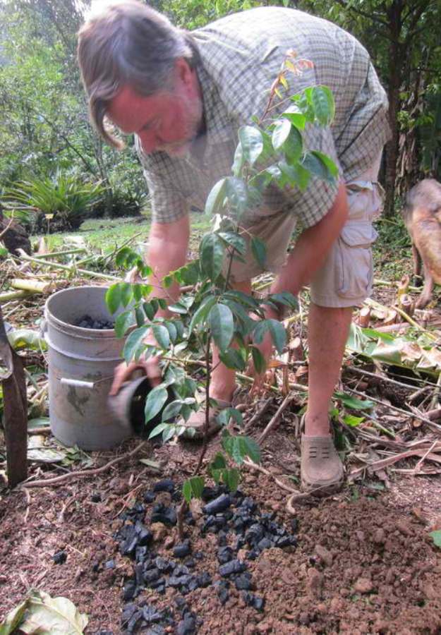 Activated Charcoal For Gardening | Effective Uses Of Activated Charcoal