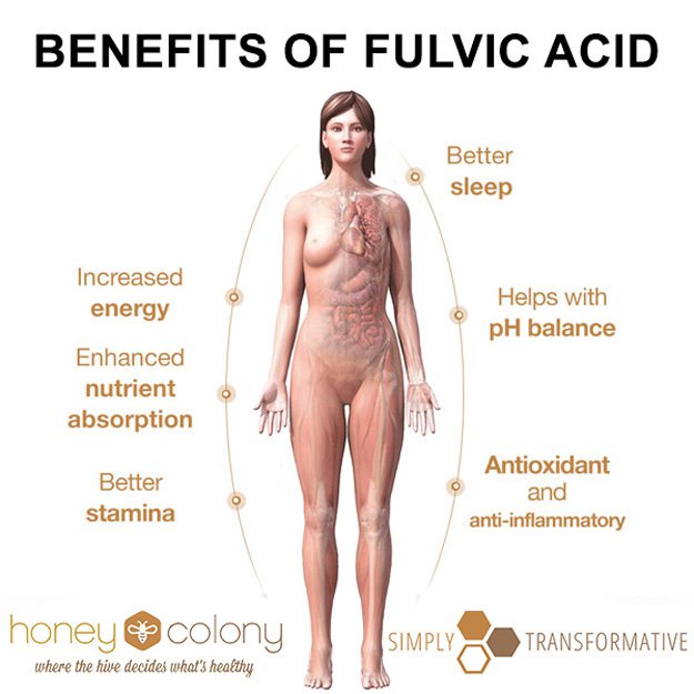 Benefits of Fulvic Acid