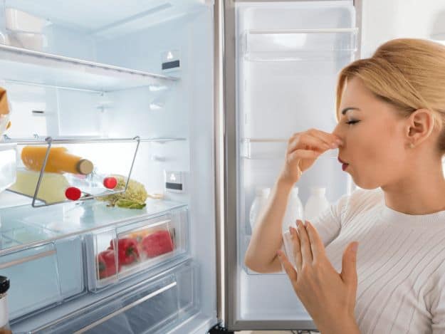 Dispose Immediately | Ways To Keep Your Farm Fresh Veggies Through Changing Seasons