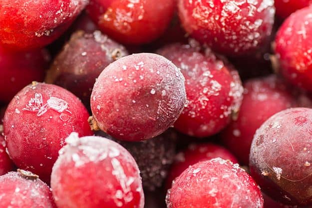 Freezing | Food Preservation Methods | Which One Is Right For You?
