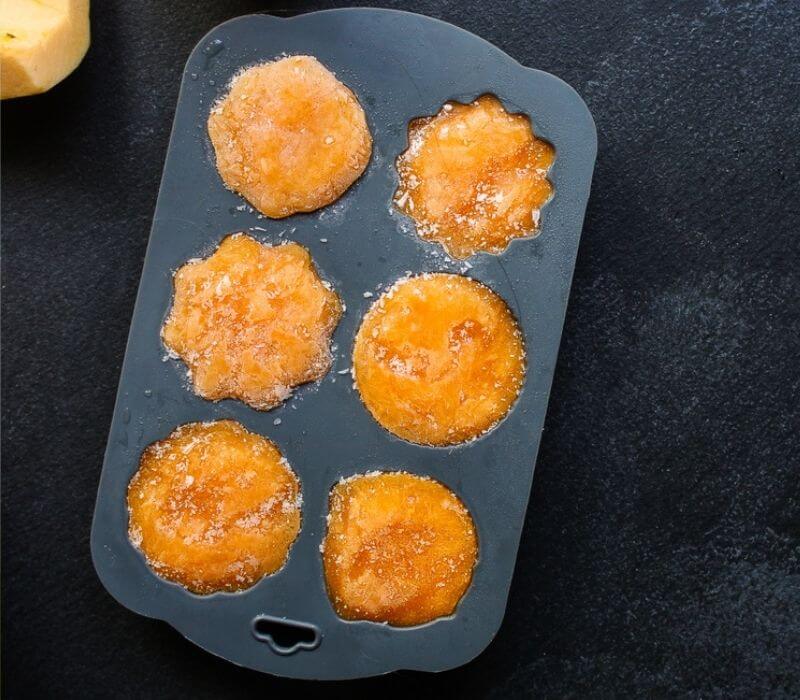 Frozen puree orange pumpkin or carrot | best vegetables for chickens