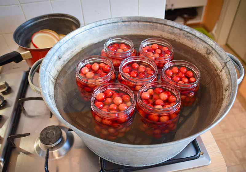 Full glass jars with red sweet and sour cherries , ready to be pasteurized for compote with sugar syrup | canning kit