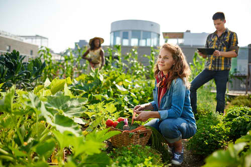 Determining Your Gardening Zone | Securing Water Off Grid