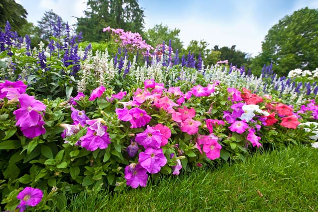 Modular Garden Systems | Gardening Tips And Tricks To Become A Successful Homesteader