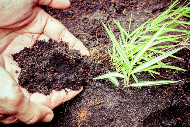 Practice Composting | Gardening Tips And Tricks To Become A Successful Homesteader